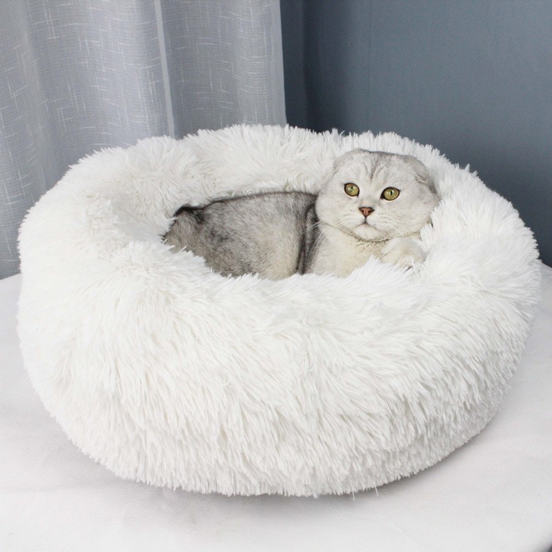 Katzensofa-Ergonomie: Warum sie wichtig ist