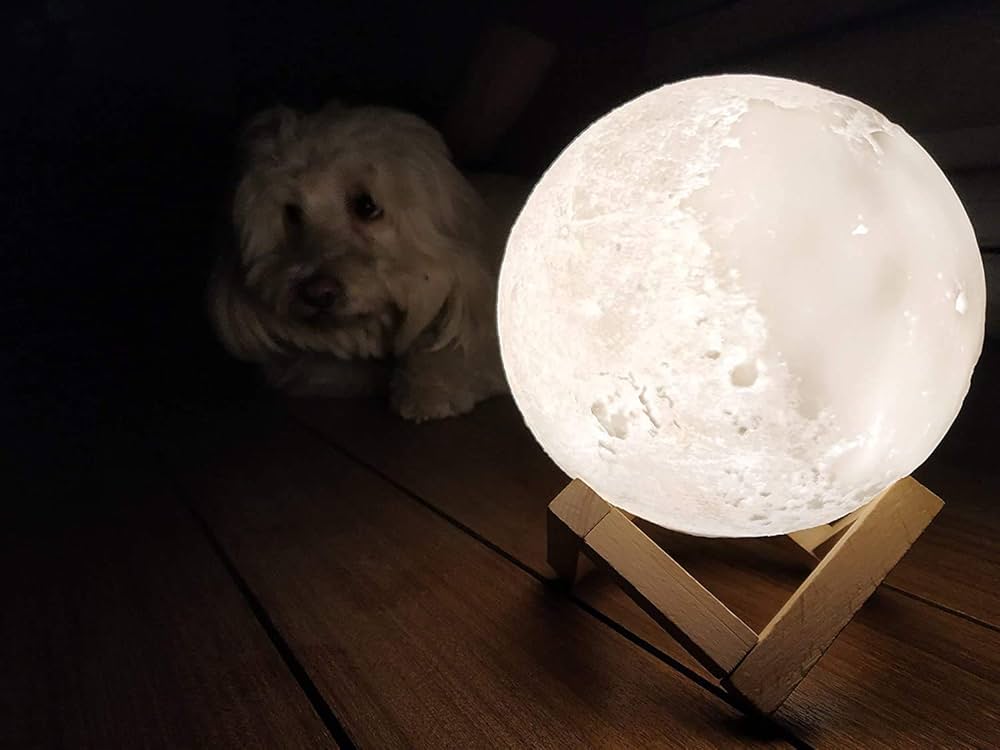 Moderne Hängelampen für das Wohnzimmer: Die beste Wahl für ein einladendes Ambiente