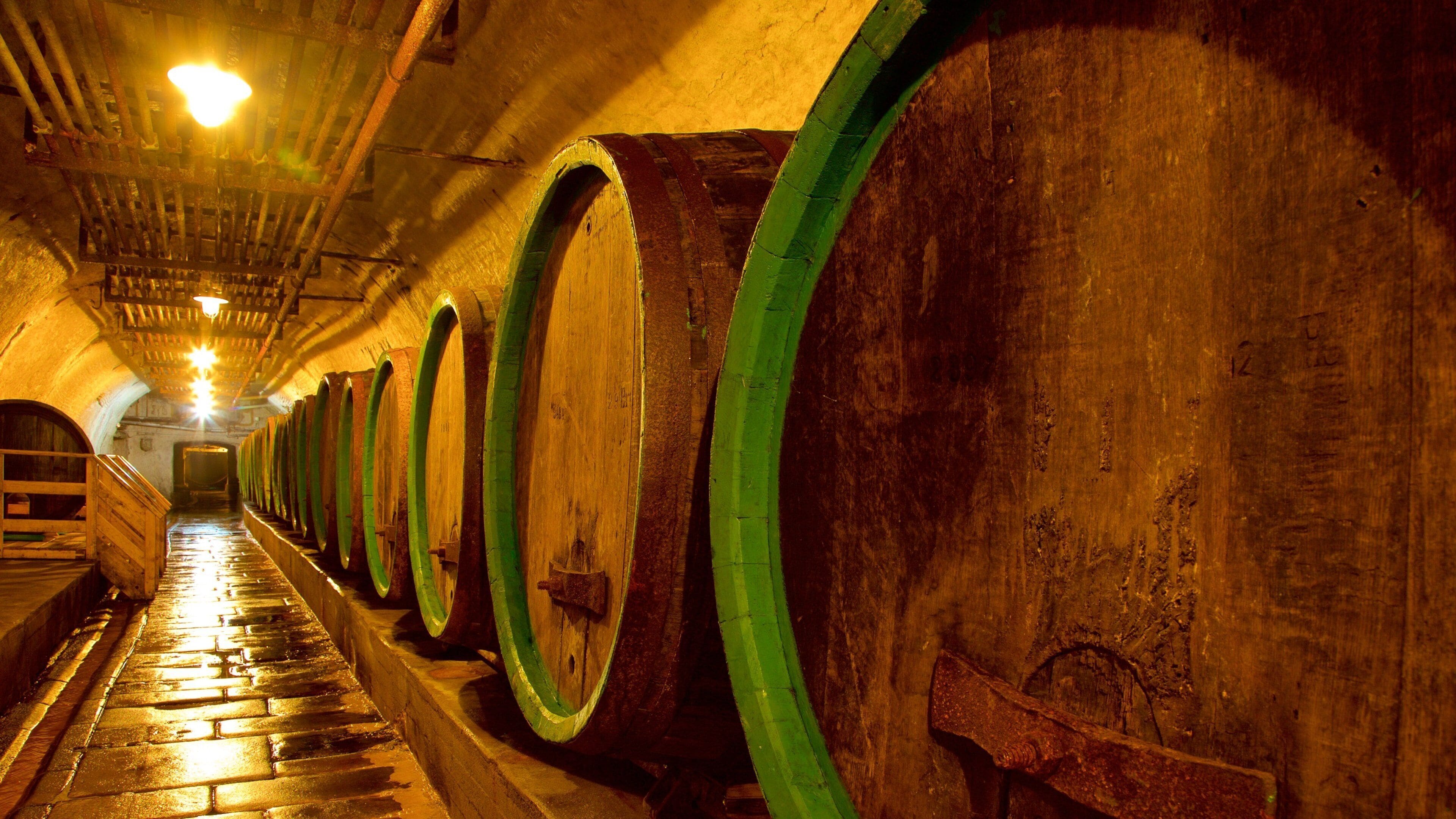 Der Höhepunkt jeder Bierreise: Pilsner Urquell Brauereiführung