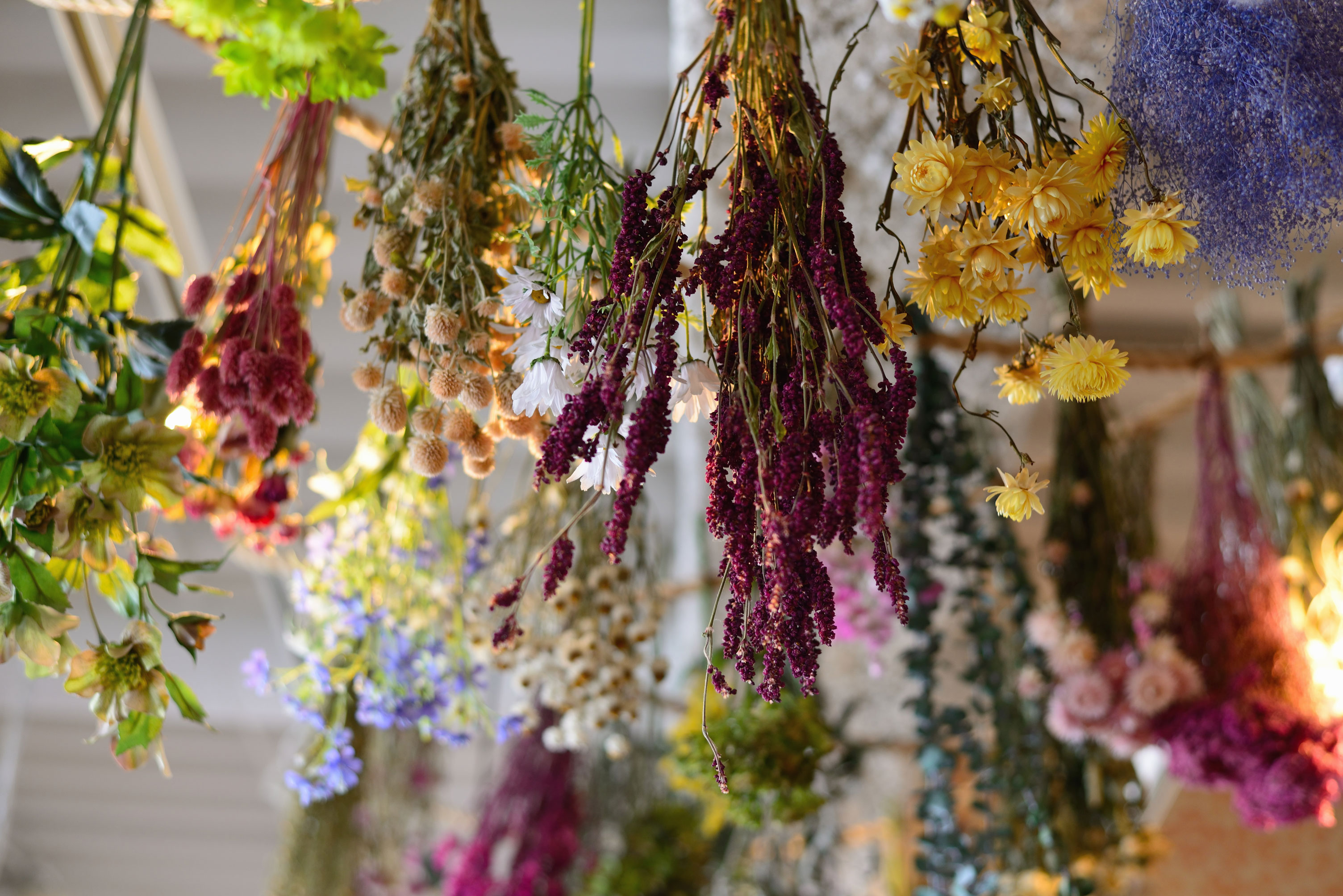 Blumen Trocknen leicht gemacht: Entdecken Sie unsere Silica Gel Optionen!