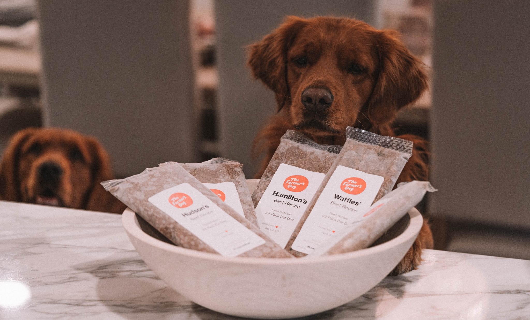 Farmer’s Dog Pricing for Puppies vs. Adults: Complete Cost Comparison