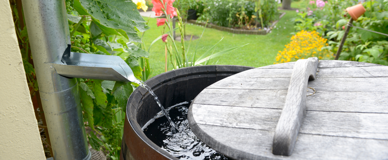 All4Water: Sauberes Regenwasser, zuverlässige Lösungen