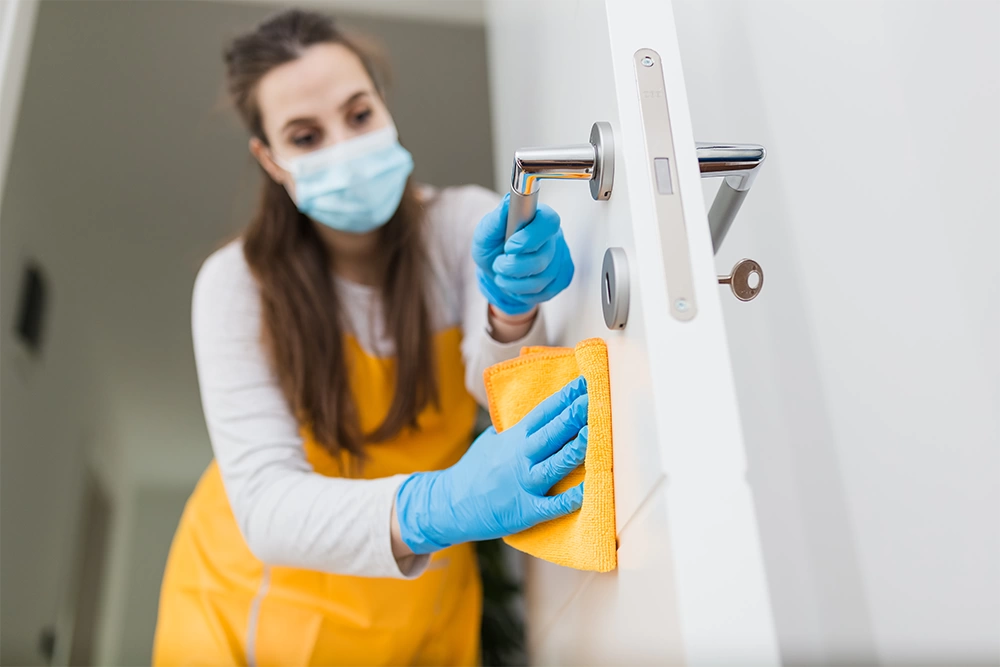 DISE Cleaning steht für Zuverlässigkeit, Erfahrung und perfekte Reinigungsergebnisse
