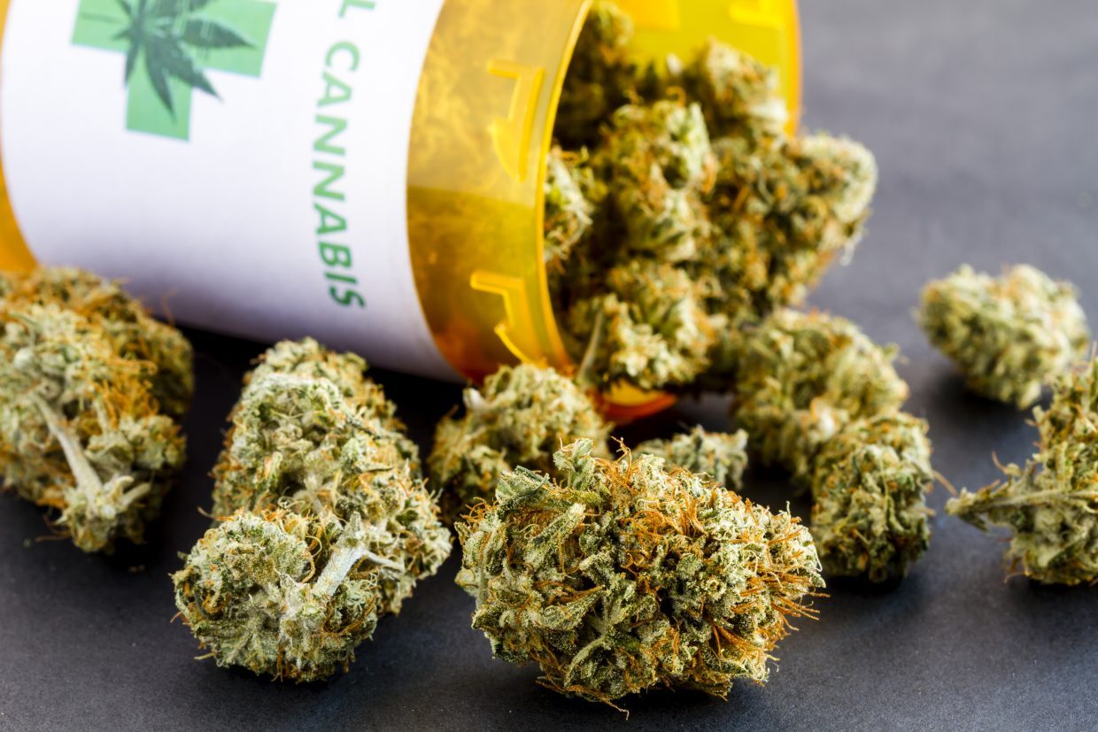 Klassische Strains und Neuheiten – Cannabissamen kaufen legal in Deutschland